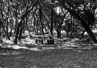 Just another test shot