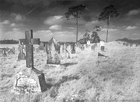 Old army graveyard Curragh
