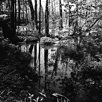 Civilized Nature III