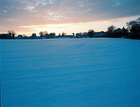 Various Irish Images