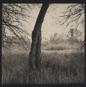 Oak Bottoms, Portland, Oregon
