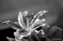 exercising my camera