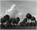 Allapattah Flats