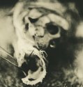 carcass 1
