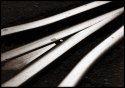 convergence of purpose