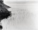 Fog; Culhane Lake