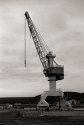 Henrik the Crane