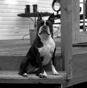 Roxy...