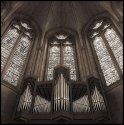 saint's windows