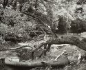 Canoe, Neshannock Creek