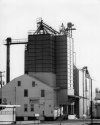 Grain Elevator
