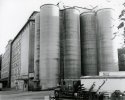 Grain Elevator