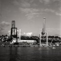 Moss Docks