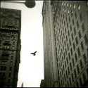 Wall St.