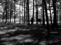 Photostock 2011 - 2