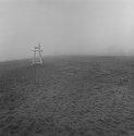 Morning Fog