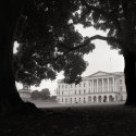Through the trees looms a palace