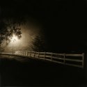 Birchwood - Photostock 2011