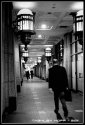 Melbourne Businessman