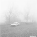 in-fog