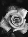 Condolence for Norway