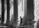 Windowlight