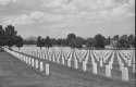 Find the cost of freedom - Found