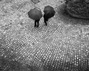Umbrellas, Rain - Luxembourg