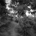 Path