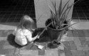 gardening