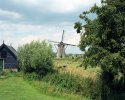 Bucolic