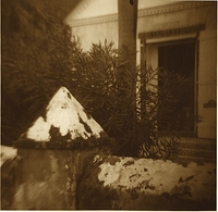 Diana. Sepia and Selenium