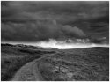 Vosges 01
