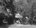 Paper Negative Test