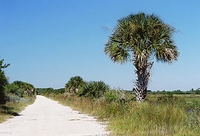 Merritt Island Wildlife Preserve