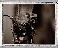 Newest member of the family.