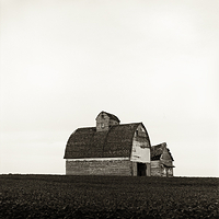 Barn