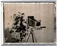 Newest member of the family II