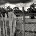 Fences...