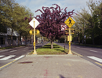 crosswalk in spring