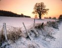 a4 crop of snowscene 800x619