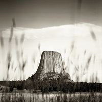 Devil's Tower and Grass
