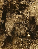 Creek, Pfeiffer State Park, CA