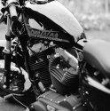 The Ride