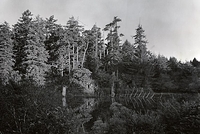 Sutton Lake, western annex