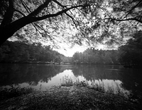 Pinhole Bilmore Boat House