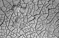 if the shoe fits ...