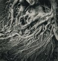 Overwhelming Embrace, Eagle Creek