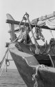 The Prow