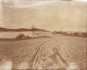Albumen no 2
